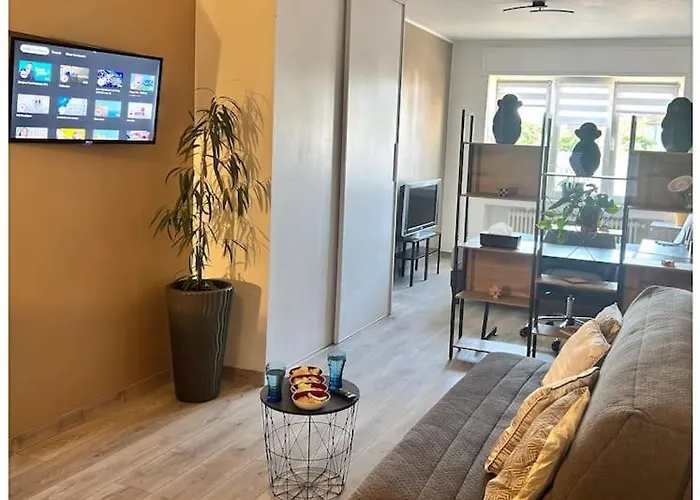 40m2 Quartier Residentiel A 7mn Thionville Et Proche Cnpe *