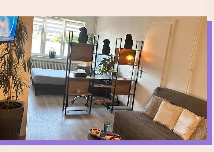 40m2 Quartier Residentiel A 7mn Thionville Et Proche Cnpe